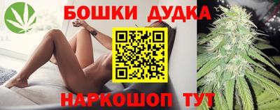 гидропоника Будённовск