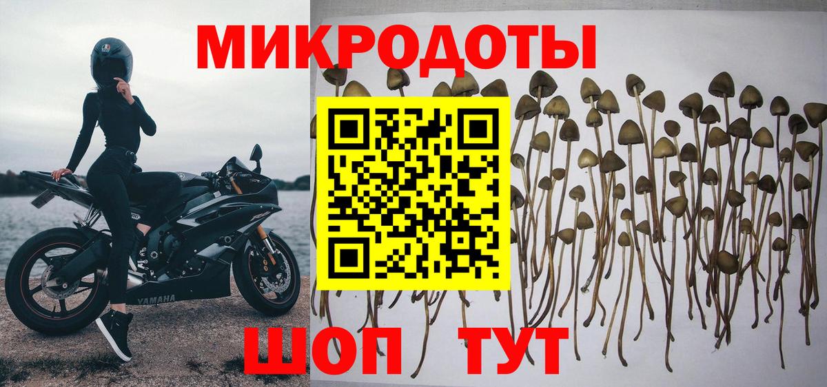 Галлюциногенные грибы Cubensis Менделеевск